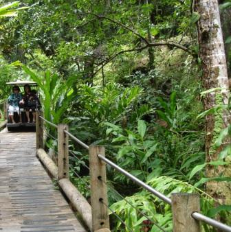 Golf carts up Boardwalk in Hawaii